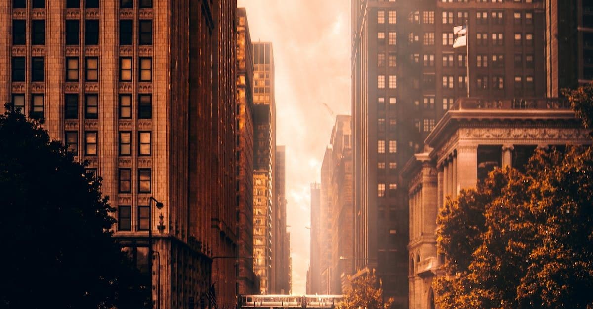 Una calle de la ciudad llena de edificios altos y árboles al atardecer.